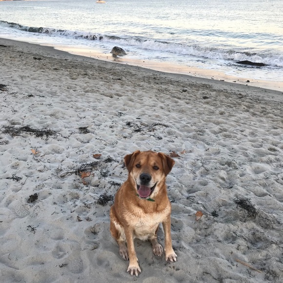 Meet your Posher, Kay - Picture 1 of 1